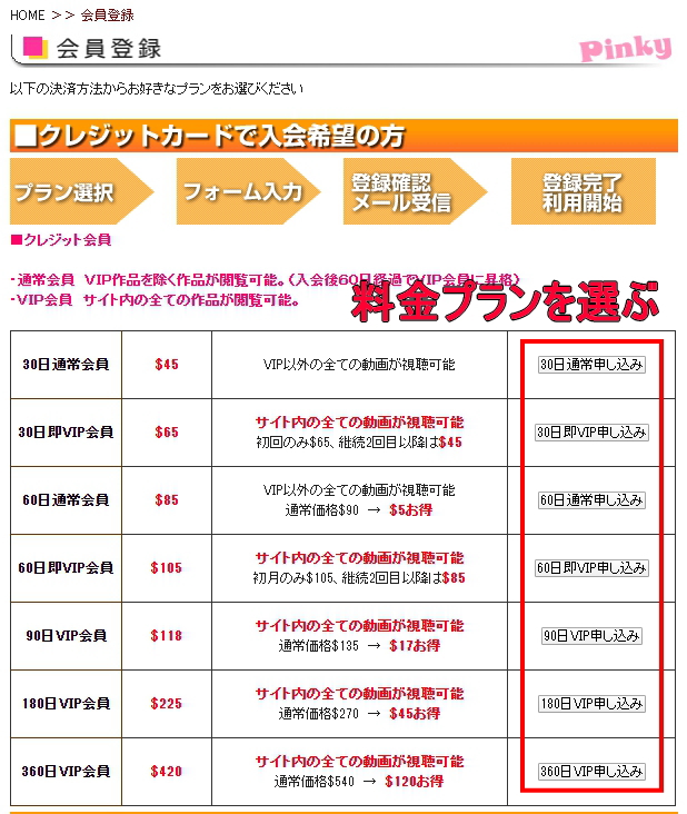 pinky料金プラン