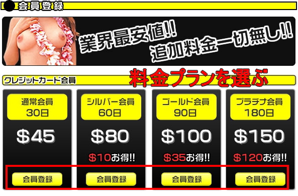 マルの穴ピカデリー料金プラン